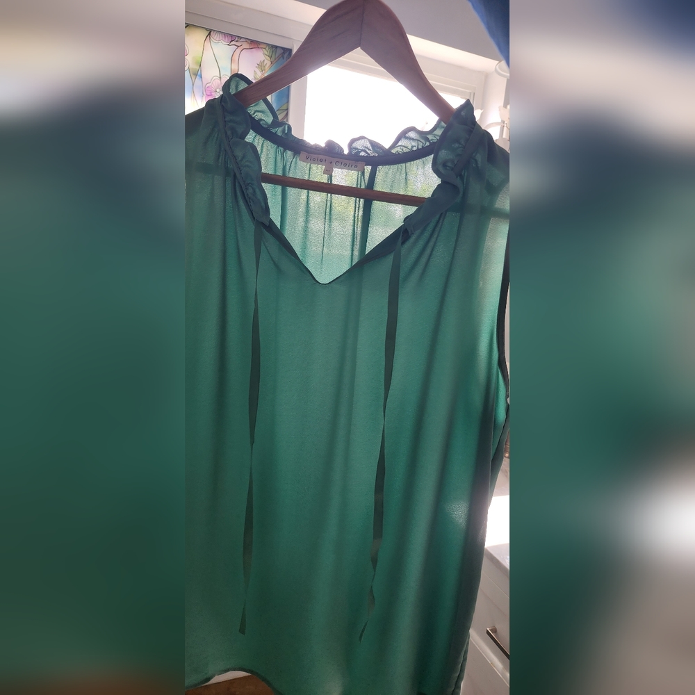Violet + Claire See Thru  Blouse